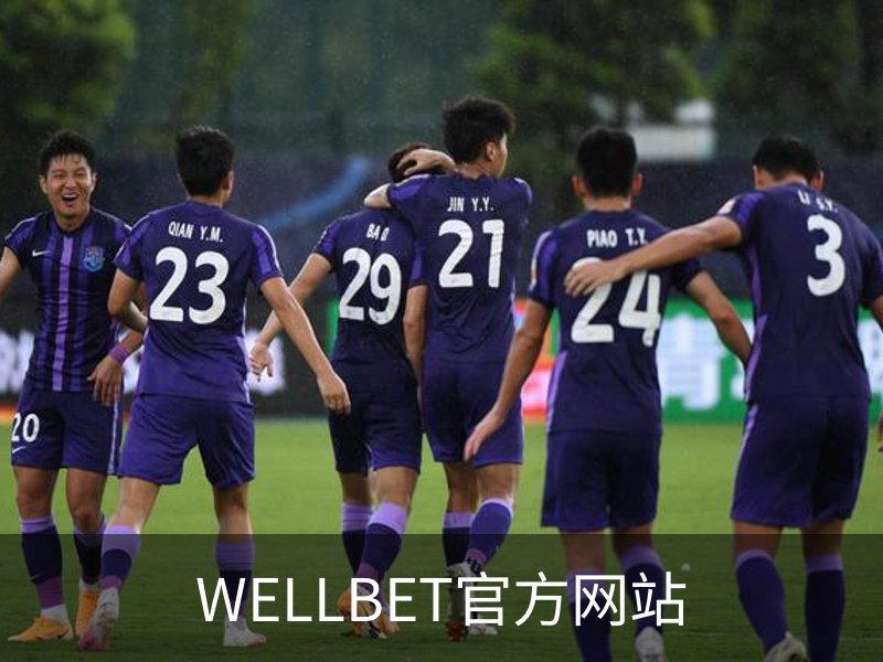 关于WELLBET官方网站